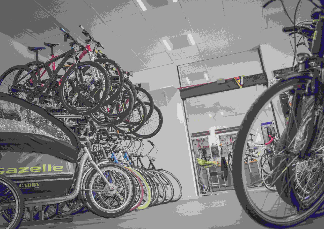Thriving Bicycle & Accessories Shop in Eastern Ontario – 18+ Years of Loyal Customers & Growth Potential!