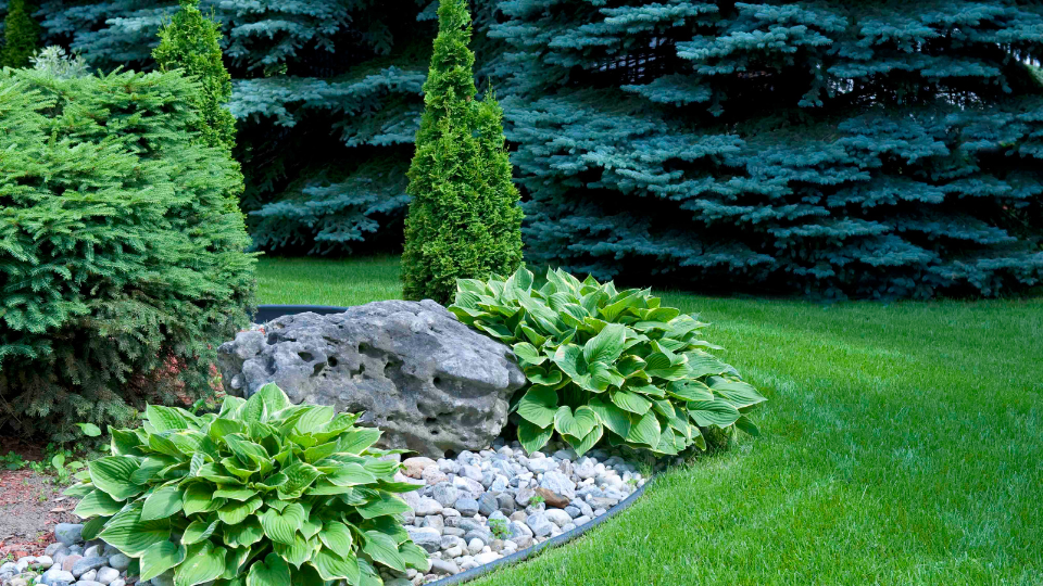 Award-Winning Landscape Architecture & Planning Firm (Est. 1982) - Ottawa | Owner Transition Support & Financing Available