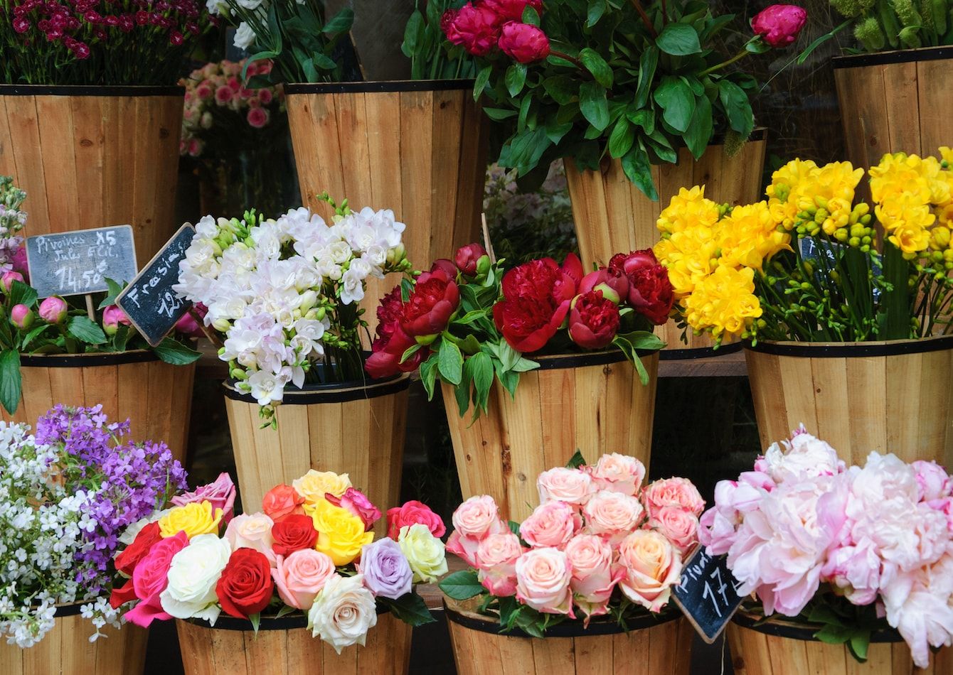 Premier Flower shop for sale in Metro Edmonton, AB photo 2