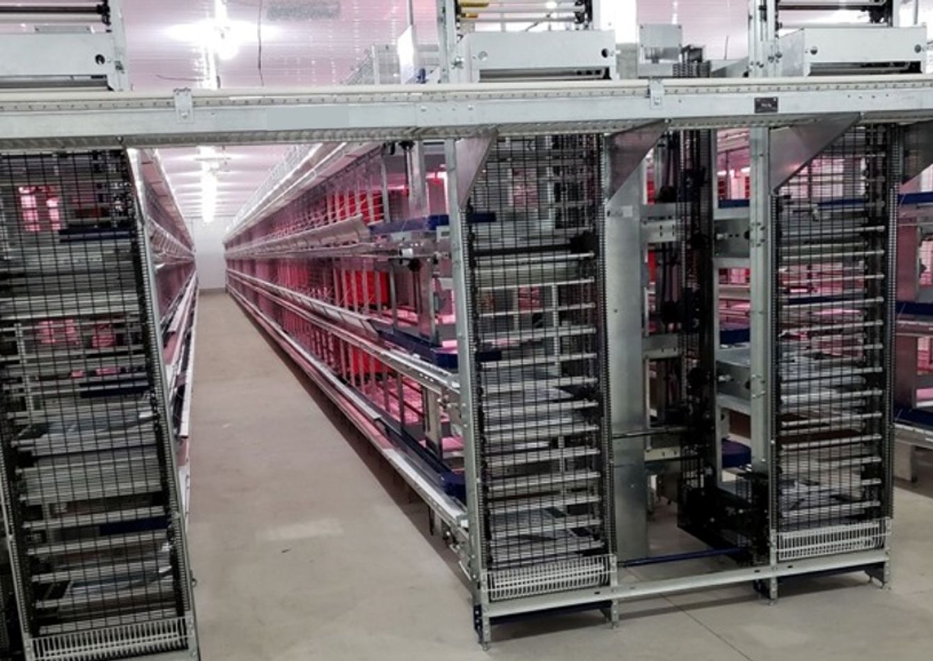 Legacy Poultry Equipment Product Line & Business for Sale