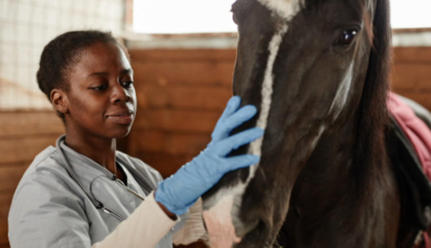 Successful Veterinary Business for Sale in Southeast Saskatchewan photo 2