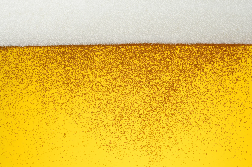 Bavarian-Style Craft Brewery & Destination Taproom – Eastern Ontario (Near Ottawa) photo 4